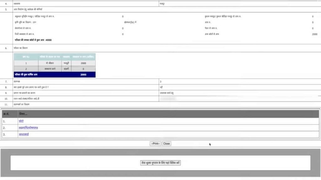 preview application form